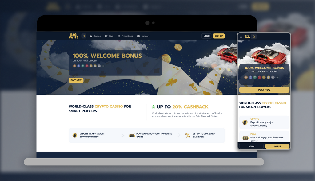 BigWins Gambling Establishment Review 2025 - 100% up to 250 USDT